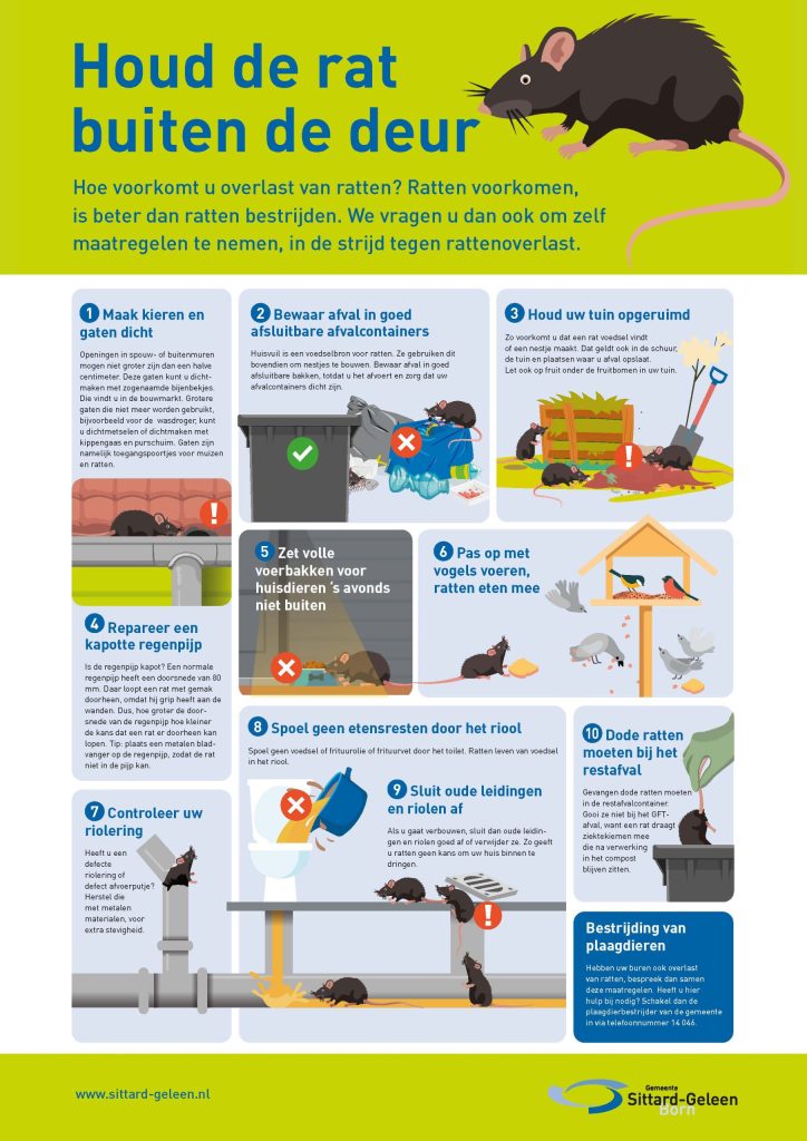 10 tips om overlast van ratten te voorkomen
1. Maak kieren en gaten dicht
Openingen in spouw- of buitenmuren mogen niet groter zijn dan een halve centimeter.
Kleine gaten kunt u dichten met zogenaamde bijenbekjes (verkrijgbaar bij de bouwmarkt).
Grotere gaten, bijvoorbeeld van een oude wasdrogerafvoer, kunt u dichtmetselen of afsluiten met kippengaas en purschuim.
Gaten zijn toegangspunten voor muizen en ratten.
⸻
2. Bewaar afval in goed afsluitbare containers
Huisvuil is een voedselbron voor ratten en wordt ook gebruikt om nesten te maken.
Bewaar afval in goed afsluitbare bakken en zorg dat containers altijd goed gesloten zijn.
⸻
3. Houd uw tuin en omgeving opgeruimd
Zorg dat ratten geen voedsel of schuilplaatsen vinden.
Dit geldt voor uw tuin, schuur en plekken waar afval wordt opgeslagen.
Let ook op gevallen fruit onder fruitbomen.
⸻
4. Repareer een kapotte regenpijp
Een kapotte regenpijp kan een toegang zijn voor ratten.
Ratten kunnen gemakkelijk door pijpen lopen doordat ze grip hebben op de wanden.
Tip: plaats een metalen bladvanger om te voorkomen dat ratten via de regenpijp naar binnen komen.
⸻
5. Zet ’s avonds geen voer voor huisdieren buiten
Voer dat buiten blijft staan, trekt ratten aan.
⸻
6. Wees voorzichtig met het voeren van vogels
Voer voor vogels trekt ook ratten aan.
⸻
7. Controleer uw riolering
Heeft u een defecte riolering of een kapot afvoerputje?
Repareer dit bij voorkeur met metalen materialen voor extra stevigheid.
⸻
8. Spoel geen etensresten of vet door het riool
Spoel geen voedsel, frituurolie of vet door het toilet of de gootsteen.
Ratten leven van voedselresten in het riool.
⸻
9. Sluit oude leidingen en riolen af
Bij verbouwingen: sluit oude leidingen en riolen goed af of verwijder ze.
Zo voorkomt u dat ratten uw woning binnenkomen.
⸻
10. Gooi dode ratten bij het restafval
Gevangen dode ratten horen in de restafvalcontainer.
Gooi ze niet bij het GFT-afval, omdat ziektekiemen in compost kunnen achterblijven.
⸻
Bestrijding van plaagdieren
Hebben uw buren ook last van ratten? Bespreek samen deze maatregelen.
Heeft u hulp nodig? Neem contact op met de plaagdierbestrijding van de gemeente via telefoonnummer 14 046.
⸻
Meer informatie
Website: www.sittard-geleen.nl